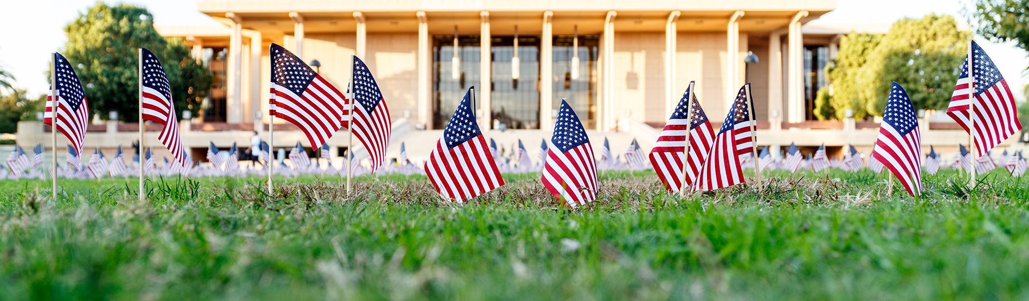 Flags in front of the Oviatt Library in observance of Veterans Day