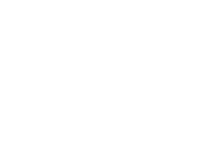 Living the Matador Life